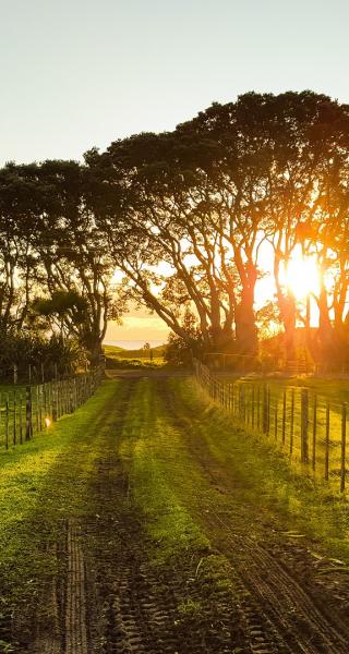 Country Accommodation Taupo