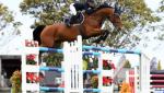 Golden run continues for Taupō showjumper Annabel Francis