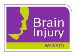 BRAIN INJURY SUPPORT GROUP
