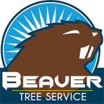 BEAVER TREE SERVICES TAUPŌ