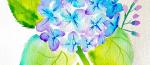 WATERCOLOUR AND WINE NIGHT - HYDRANGEA