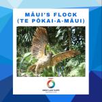 Māui's Flock (Te Pōkai a Māui)