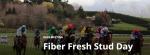 FIBER FRESH STUD DAY - Taupō Racing