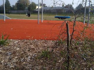Reserve vandalism hugely disappoints