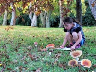 School holiday fun activities for Taupō and Tūrangi from Kids Greening Taupō