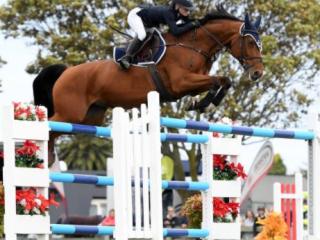 Golden run continues for Taupō showjumper Annabel Francis