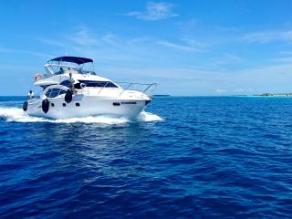 Boats Taupo