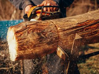 Chainsaws in Taupo