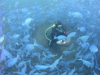 Diving in Taupo