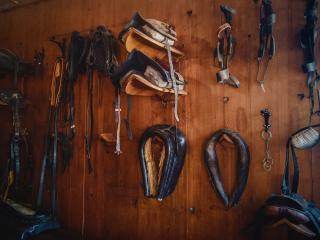 Equestrian Supplies Taupo