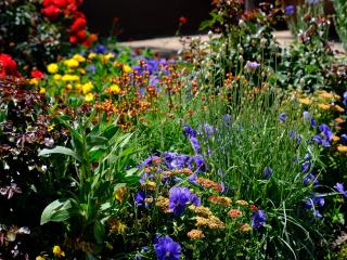 Taupo garden centres