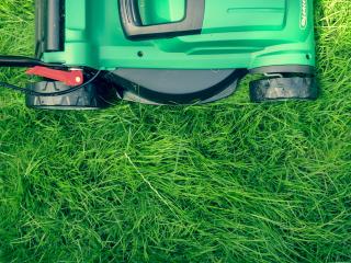 Lawn Mowers in Taupo