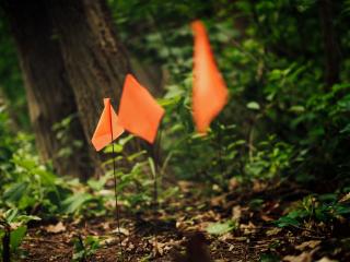 Ninja Course Taupo