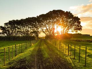 Country Accommodation Taupo