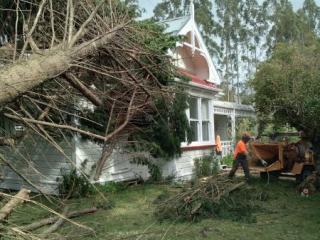 STORM DAMAGE