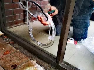PET DOORS