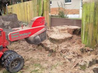 Central Stump Grinding Taupo