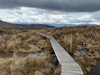 Scenic hiking trail through the alpine meadows