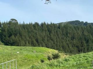 Airborne Agricultural Drone Services