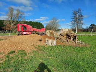 Stump Grinding