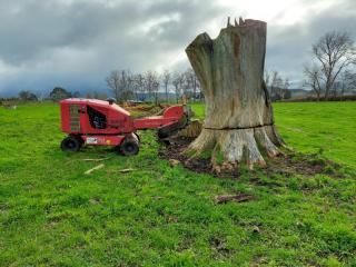 Stump Removal