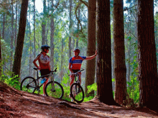 Craters Mountain Bike Park, Taupo