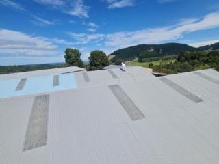 ROOF PAINTING
