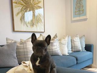 CUSTOM UPHOLSTERY