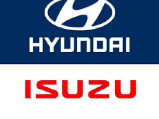 HYUNDAI & ISUZU TAUPO