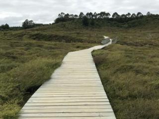 TAUPŌ WALKING TRACKS