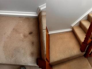 CARPET CLEANING