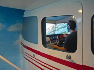 FLIGHT SIMULATOR