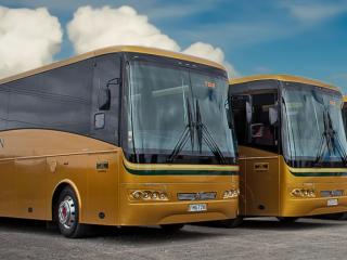 TRANZIT COACHES TAUPO | NIMON & SONS