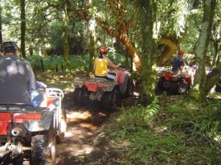 Paintball & Quad Bike Combo Packages