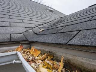 Gutter Cleaning
