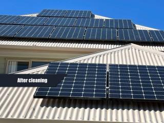 Solar Panel Cleaning