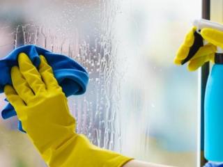 Window Cleaning