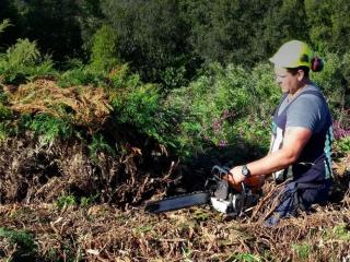 PKV TREEWORX LTD TAUPO