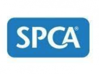 TAUPO SPCA OP SHOP