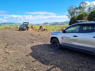 Central Stump Grinding Taupo