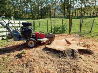 Central Stump Grinding Taupo
