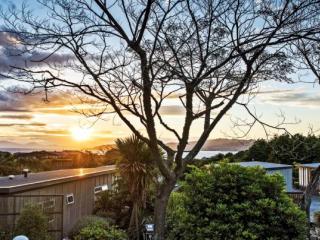 ICONIC TAUPŌ LOCATION