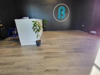 Vinyl Planks