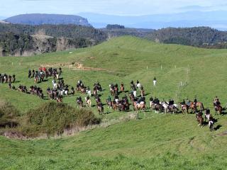 Taupo Hunt Week 2026