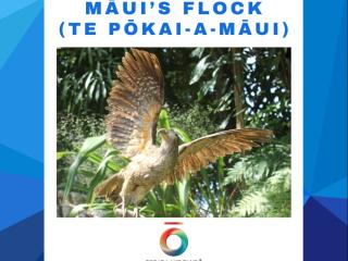 Māui's Flock (Te Pōkai a Māui)