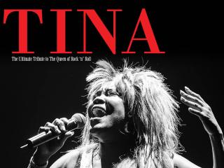 TINA - THE ULTIMATE TRIBUTE TO THE QUEEN OF ROCK n ROLL