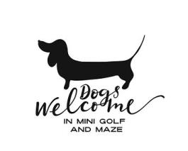 MIND JUNCTION DOG FRIENDLY