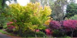 Waipahihi Botanical Gardens