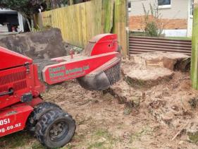 Central Stump Grinding Taupo
