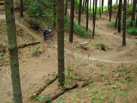 Craters Mountain Bike Park, Taupo